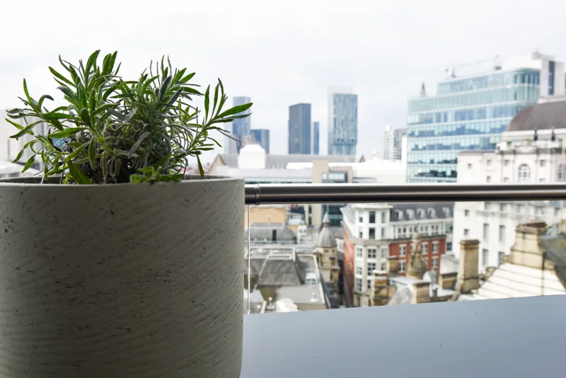 Planter and city views from a rooftop terrace