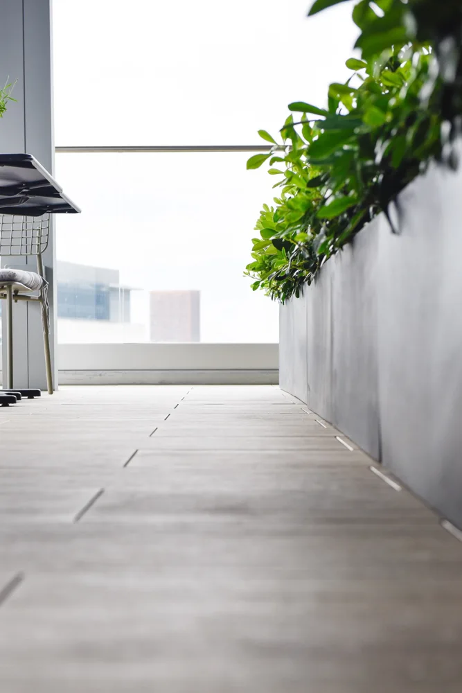 Architectural detail of terrace flooring and planting