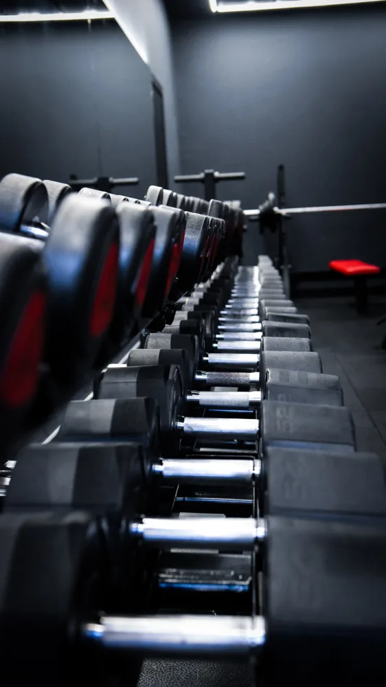 Rows of dumbbells in a gym weights area